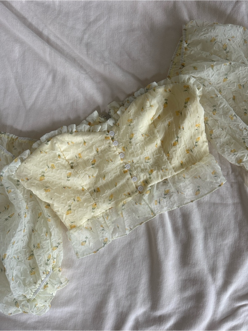 Sheer Ruffled Floral Crop Top in Pale Yellow